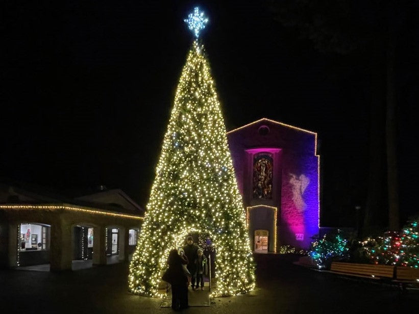 【EVENTS】CHRISTMAS FESTIVAL OF LIGHTS